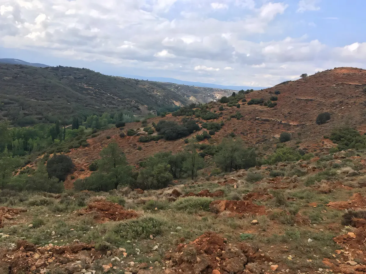 Vista de la zona repoblada de Albentosa II (Teruel)
