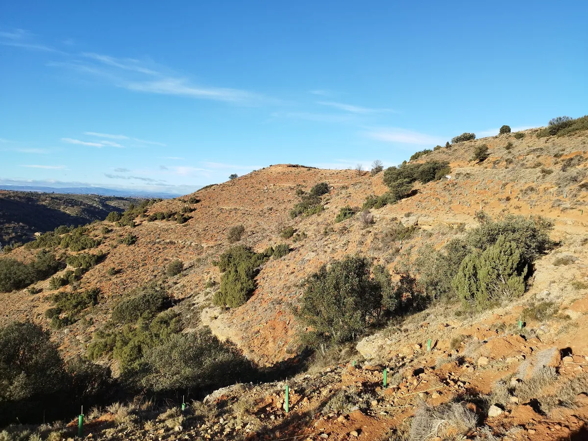 Laderas de matorral y pinar en Albentosa (Teruel)