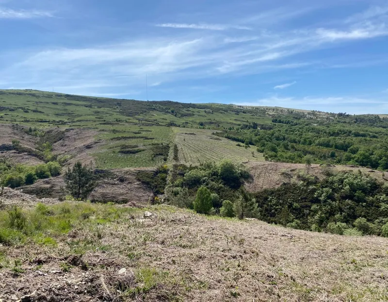 Vista del monte de Couso, en Avión (Ourense)