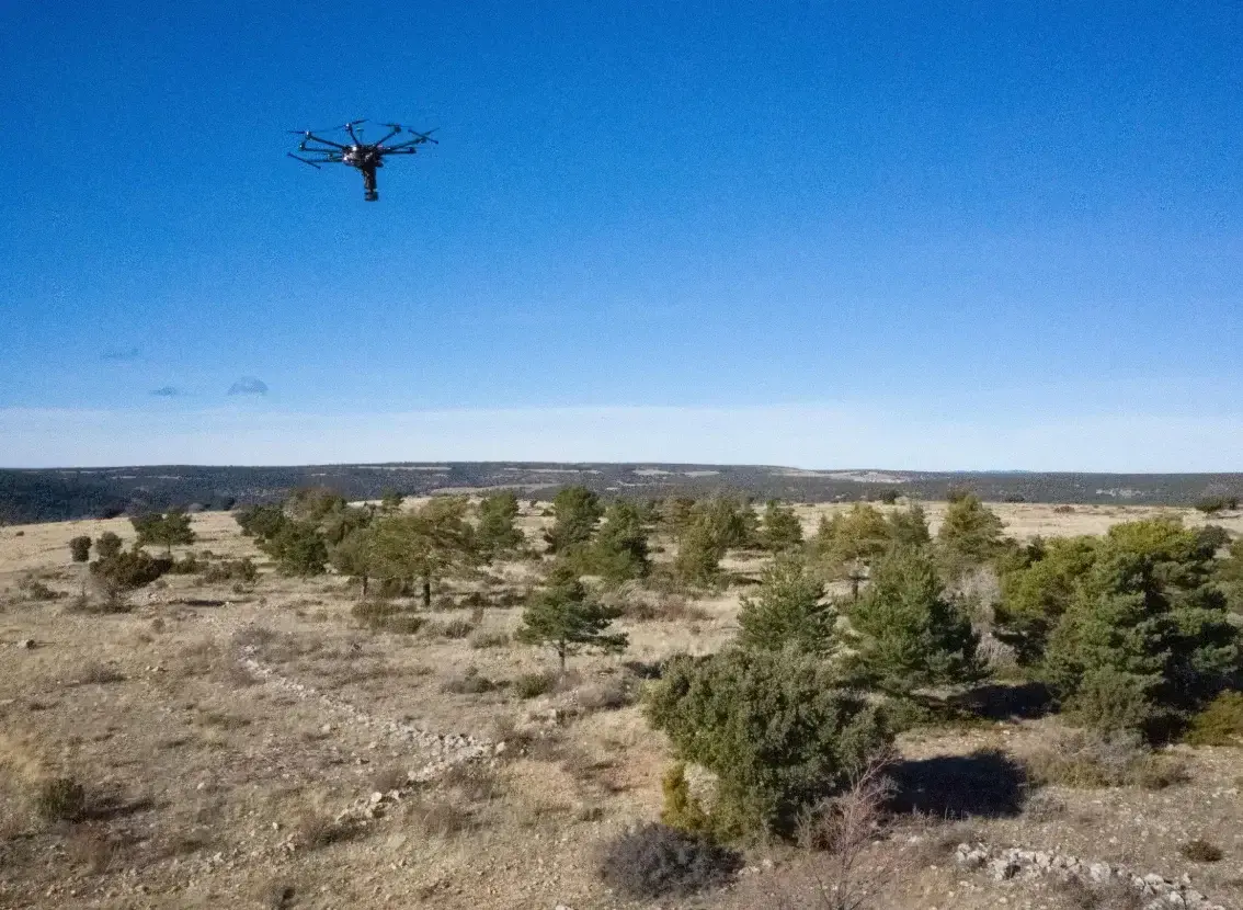 Dron sobrevolando un terreno con pinos dispersos y matorral