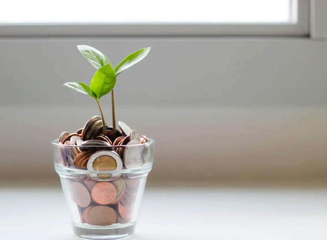 Planta joven que crece en un vaso lleno de monedas