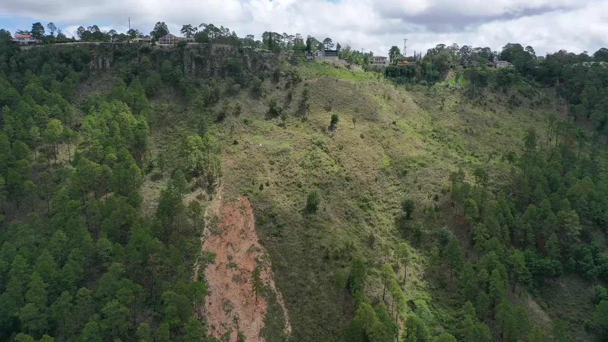 Vista aérea de la zona de siembra en Honduras