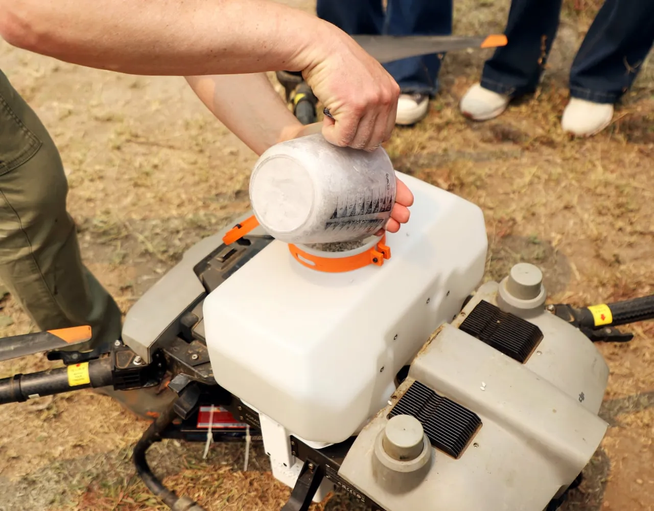 Carga de semillas en el depósito del dron de siembra