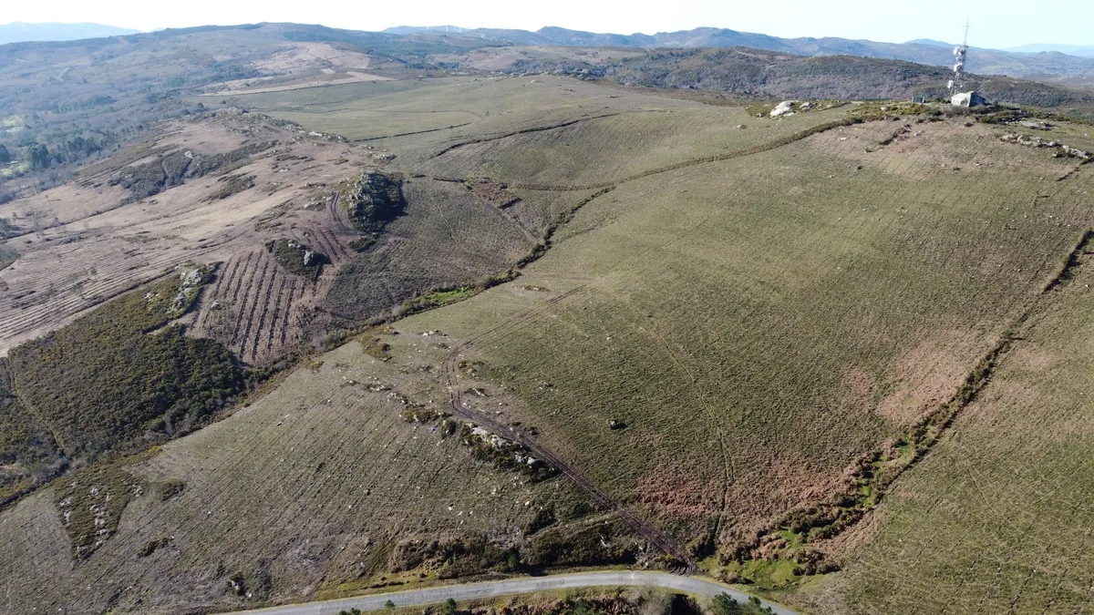 Vista aérea de laderas en restauración en Galicia